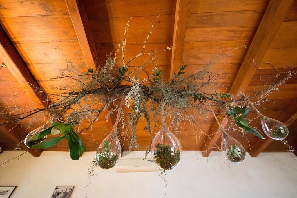 Tulbagh Country Guest House - Cape Dutch Quarters 외부 사진